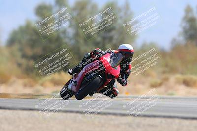 media/Oct-05-2024-Race Pace (Sat) [[aa7b44e117]]/8-Turn 7 (1110am)/